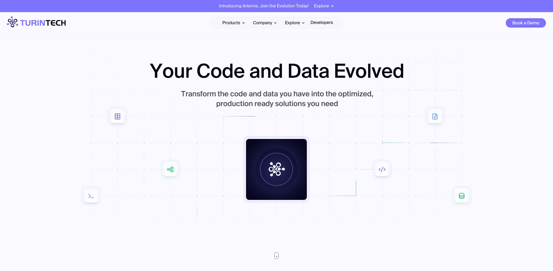 turintech.ai - Optimizes code and data for faster runtime and lower cost.